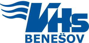 Logo VHS